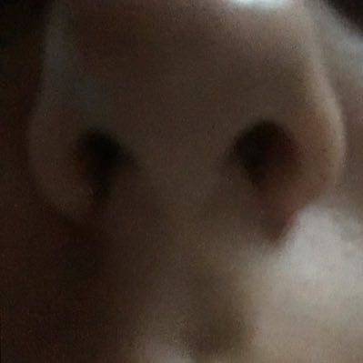 MoriceEwenn's profile picture. bonjour