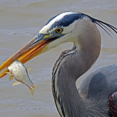 shelley2927's profile picture. 