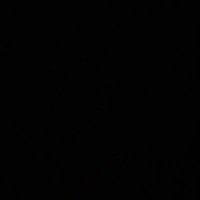 RJ Horry (@rjhorry1) 's Twitter Profile