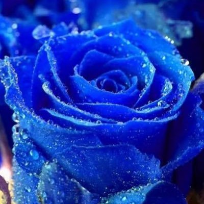 salecitam's profile picture. 