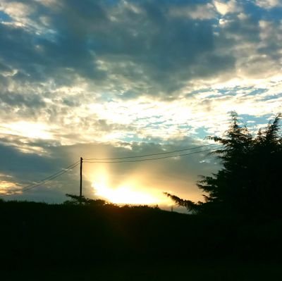 sir_Msooh's profile picture. my mind is a dangerous place to be ^

CFC 

If the highest aim of a captain were to preserve his ship, he would keep it in port forever.