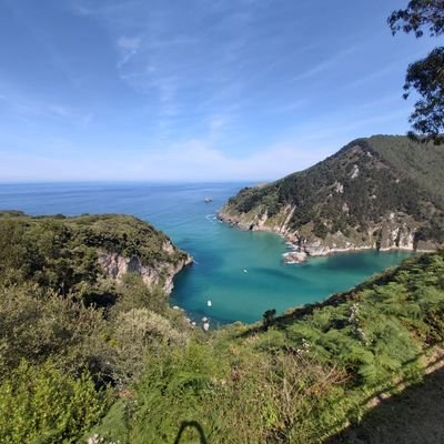 jlgcervera's profile picture. 