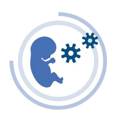Medicina Materno Fetal / Neurología Fetal / Investigación Clínica / Cirugía Robótica Ginecológica daVinci - CITAS https://t.co/Stw7Jckun4