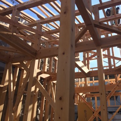 ByK1DqRnTQVmydb's profile picture. 