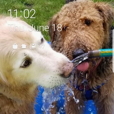 garden obsessed, Jasper bff, born 5/17 ❤ dogs, nature, family.
bluesky: @jasper-patty17.bluesky.social