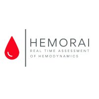 Hemorai (@hemorai_inc) 's Twitter Profile