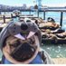 Bradley (@stroderboat) Twitter profile photo