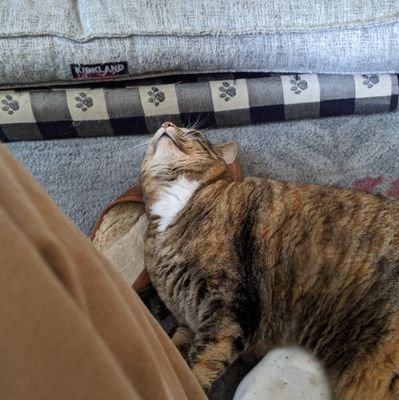 renickskater's profile picture. 