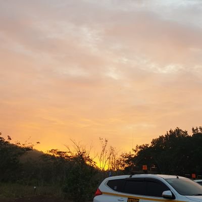 land_down1's profile picture. 