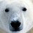 ku_ma_shi_ro's profile image