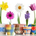 lena_smile's profile picture. 