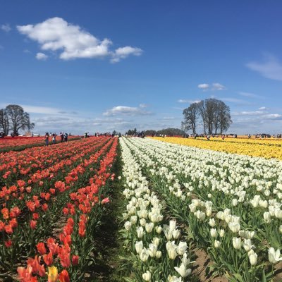 rpoudel0401's profile picture. 