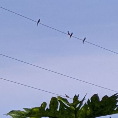 RomsCar1's profile picture. In time with Jesus and my Family