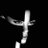 DebAnn_45TRUMP's profile image