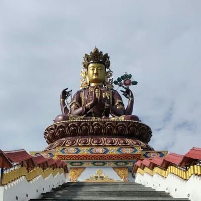 Roshaninet1996's profile picture. student