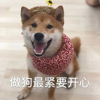 morning (@morning63001490) 's Twitter Profile