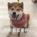 morning (@morning63001490) Twitter profile photo morning (@morning63001490) Twitter profile photo