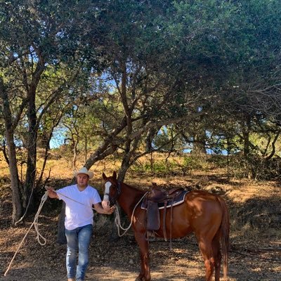 josemar95050776's profile picture. 