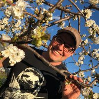 Mark Hall (@thebeeecologist) 's Twitter Profile