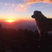 Bruce Hungate (@brucehungate) 's Twitter Profile Photo Bruce Hungate (@brucehungate) 's Twitter Profile Photo