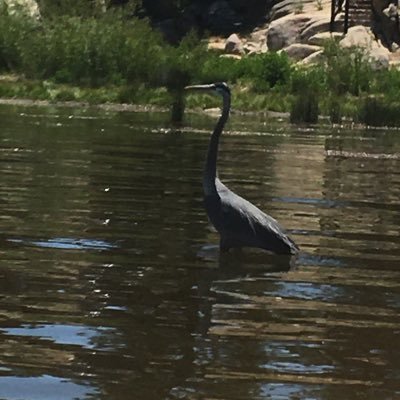 Robloxi59485390's profile picture. I like Roblox! Anomic is the best