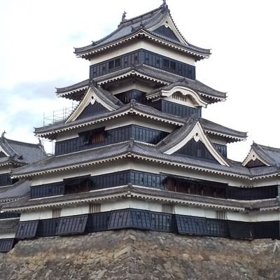 tomo_silver's profile picture. 