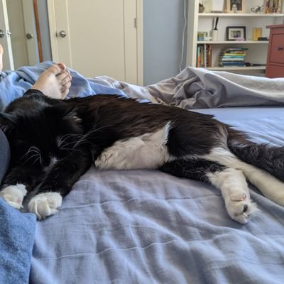 DPilsk's profile picture. he/him