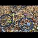 Jesus Duque - @JesusDu87995254 - Twitter