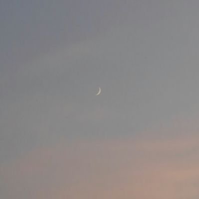 如月アミさんのプロフィール画像
