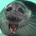 滋賀県立琵琶湖博物館【公式】 (@biwahaku) Twitter profile photo 滋賀県立琵琶湖博物館【公式】 (@biwahaku) Twitter profile photo