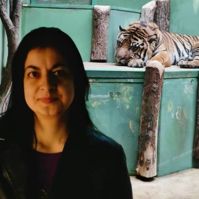 IATaniaKarali's profile picture. Chess International Arbiter, love travelling