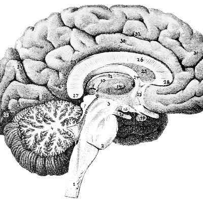 Critica68028740's profile picture. 