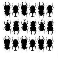 H.M.Y中川堂 (@hmy60799413) 's Twitter Profile Photo