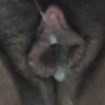 safadinhaivana's profile picture. Gordinha e safada