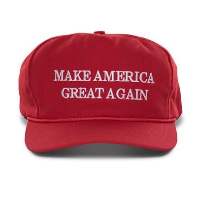 MAGAHat2020's profile picture. Love Trump the counter-puncher. Build the wall or all is lost. Focus on the accomplishments not the tweets - SQUIRREL👈☝️👇👉 (from the movie UP)