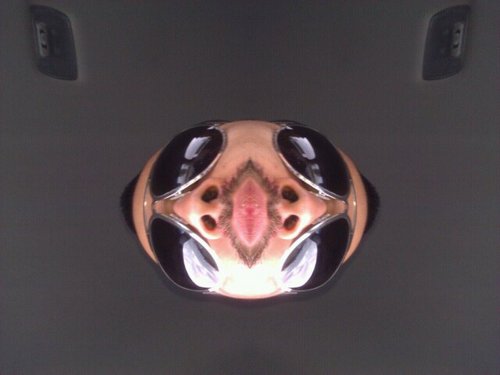 Oooobarracuda's profile picture. 