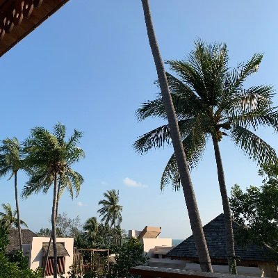 Shiyiqing4's profile picture. 