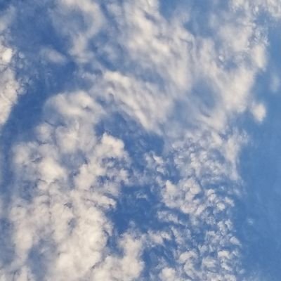 lovfang's profile picture. victory loves preparation