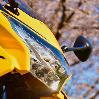 さよなら心のふるさと北海道、よろしく熊本。くるま乗りたい、バイク乗りたい、おふね乗りたい / ☀️快晴過激派☀️ 2025は三島村、🆗対馬、🆗福江島、🆗奈留島、🆗見島、🆗屋久島、🆗口永良部島、🆗喜界島、🆗沖永良部島、🆗与論島、🆗西表島へ行きます。/ 2025.03.02~椎葉村の椎茸を育てています