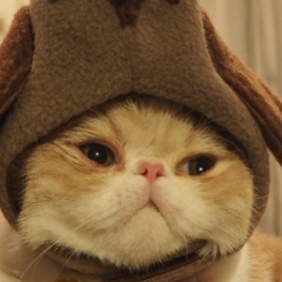 thenibblet97's profile picture. #istandwithvic and #istandwithtodd