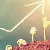 VakrathundaC's profile picture. Engineer, Natural Farmer