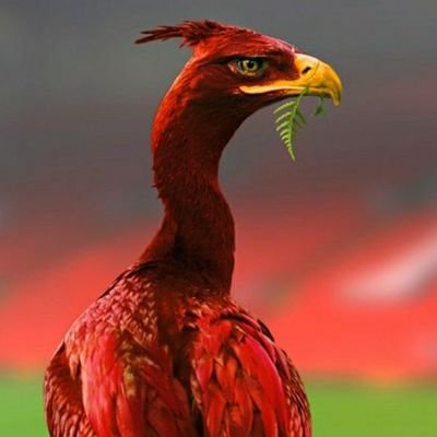 We all have our own views and opinions if you don't agree with me fair enough, i might not agree with yours.
#VibePay https://t.co/sW6jxUU27v
