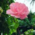 @Bh8mXl9bQ3fOlwj