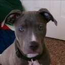 Tim Wolfe - @TWolfe0829 - Twitter