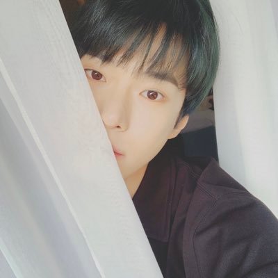 dym__3's profile picture. マクドンに思いを馳せるドヨンペン