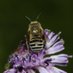 BeeIndia (@beeindia3) Twitter profile photo BeeIndia (@beeindia3) Twitter profile photo