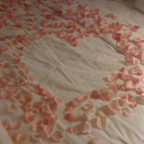 missdeirdrep's profile picture. total fanfic addict, I have twins born dec 2010, and spend way way too much time reading fanfic on my iphone.