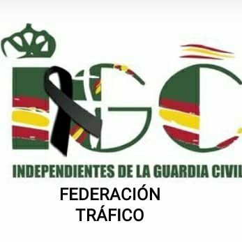 Delegación de Tráfico de Independientes Guardia Civil. IGC 
traficomadrid@igcprofesional.es