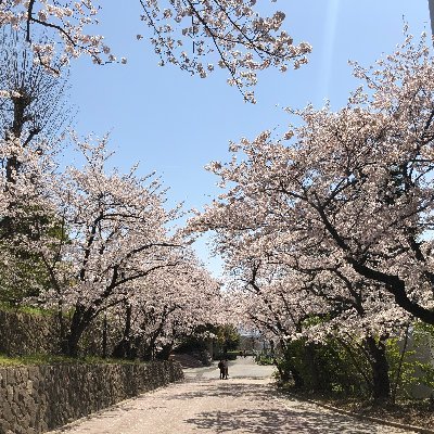 agrecon_kobe's profile picture. 神戸大学大学院農学研究科食料環境経済学講座の公式アカウントです。 学生が中心になって運営しています！Food and Environmental Economics, KOBE University