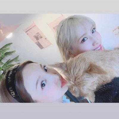 4WqG9Z0d8NYISLF's profile picture. 21歳：🍑：🤖：誰でも Follow Me☺❤